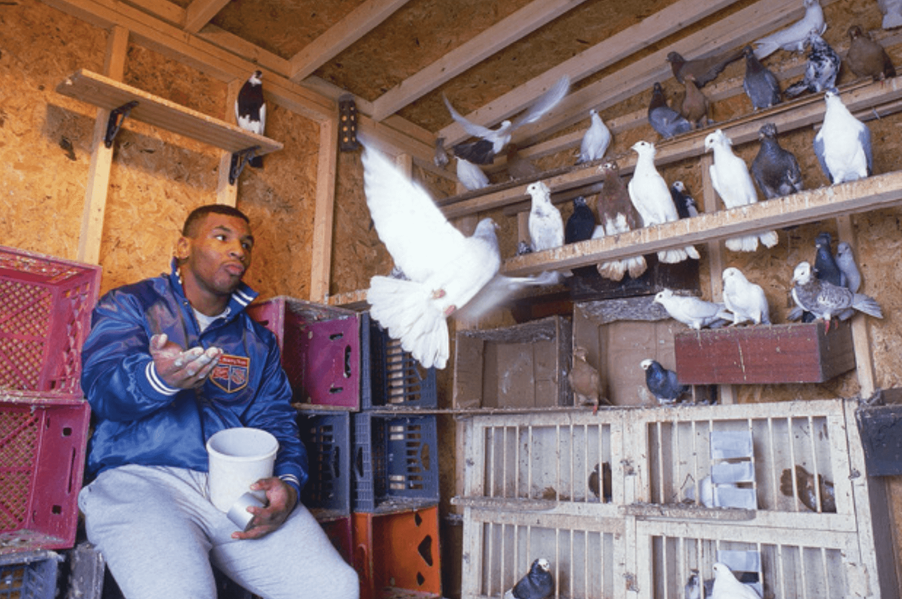 Mike Tyson mit seinen Tauben