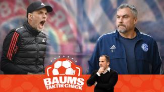 Baums Taktik-Check: FC Bayern gegen Schalke